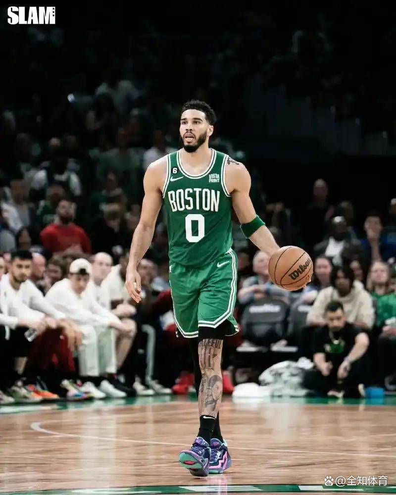 塔图姆新星赛况扑朔迷离表现惊艳，G2未来可期！的简单介绍